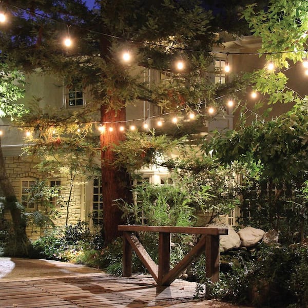 24-Light 48 ft. Indoor/Outdoor Plug-In Filament LED S14 Edison Bulb String Light