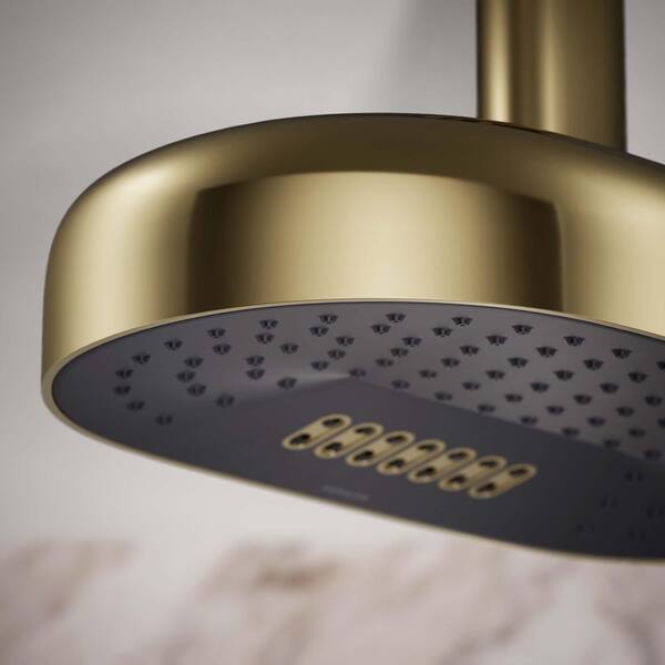 KOHLER Statement Oblong 2-Spray Patterns 2.5 GPM 14 in. Ceiling