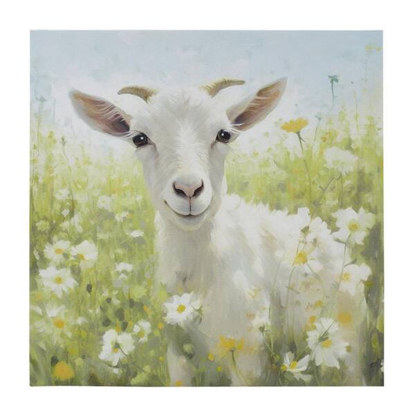 Miscool Anky 1-Piece Unframed Art Print 16 in. x 16 in. Goat Canvas Wall Art