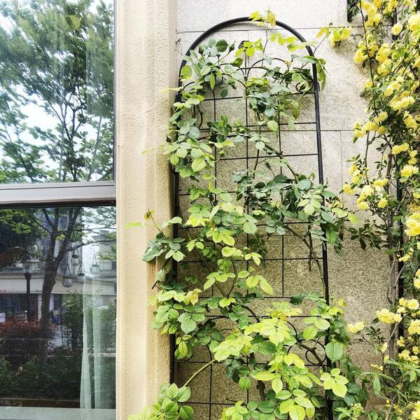 86.70 in. Metal Garden Trellis ZN-2072 - The Home Depot