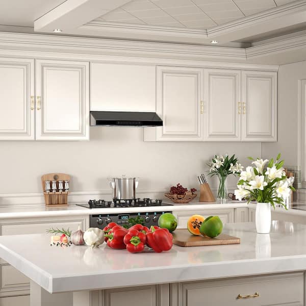 30 in. 900 CFM Ducted Under Cabinet Range Hood in Stainless Steel and Black Glass with Lights