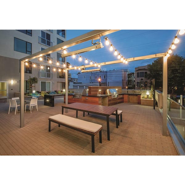 12-Light 24 ft. Black Indoor/Outdoor Commercial Incandescent Edison String Light