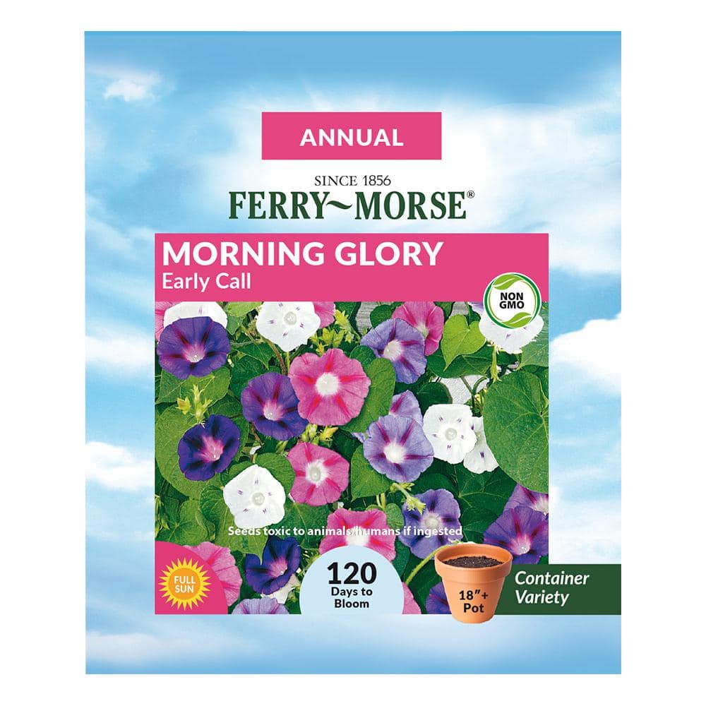 Ferry-Morse Morning Glory Early Call Flower Seed 6077 - The Home Depot