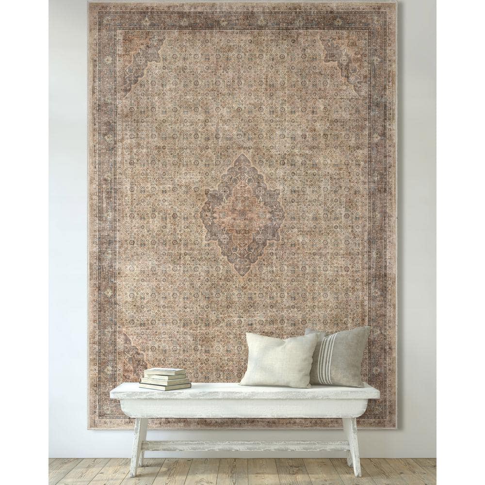 Asha Lilith Vintage Beige Brown Chenille Oriental 3' x 5' Area Rug