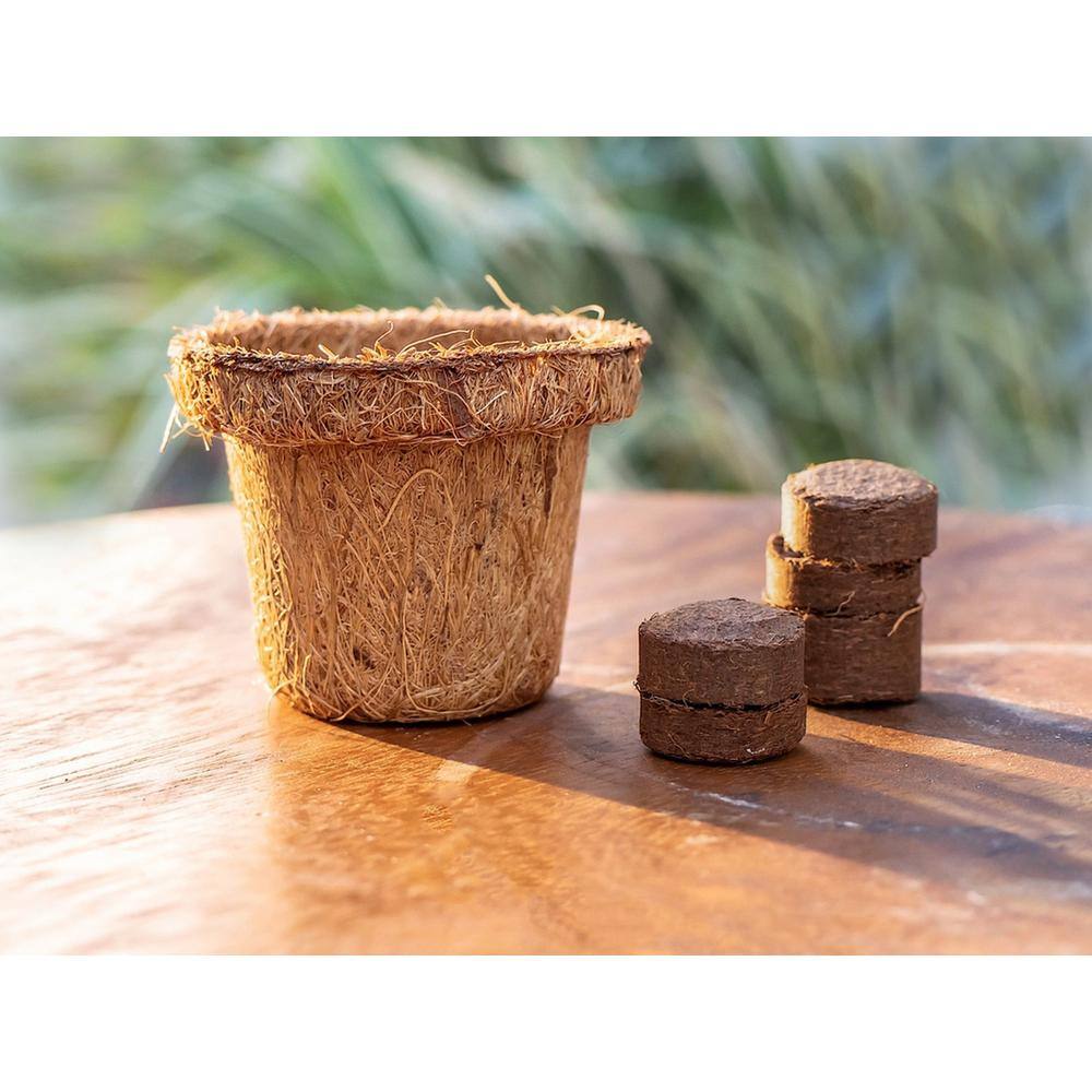 Compact Tan Coco Coir Seed Starter Pellets, 0.8 Inches, 180-Pack