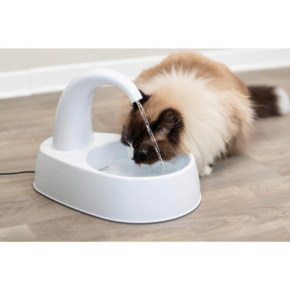 White Curved Stream Pet Water Fountain with Filter, 84.5oz