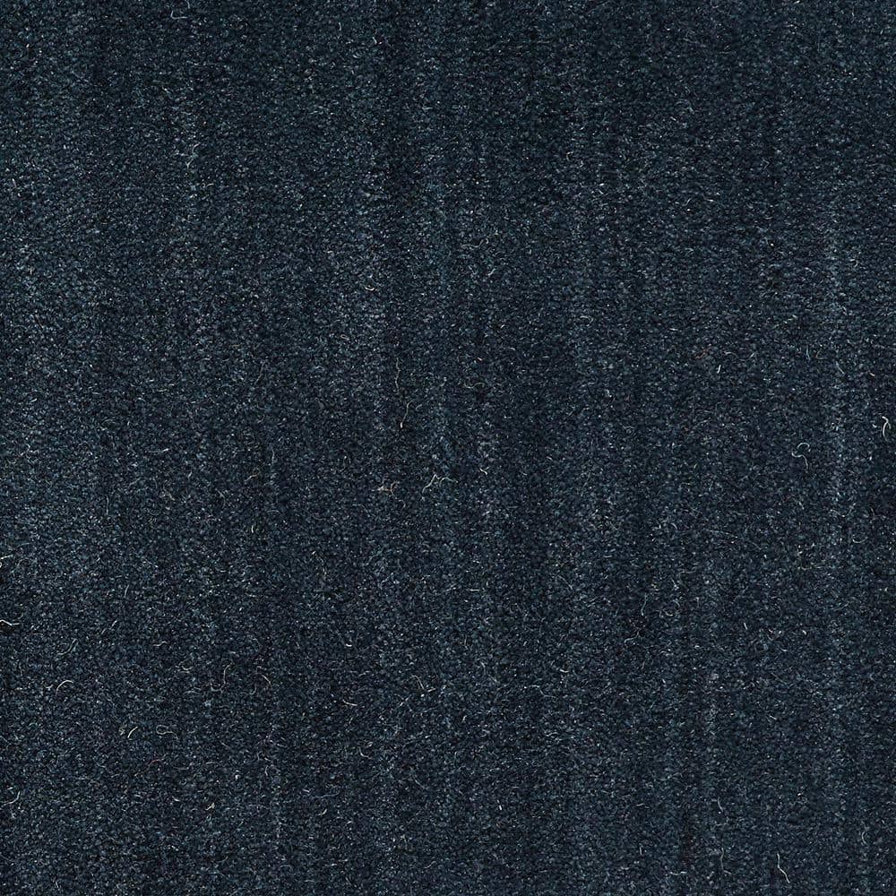 6 in. x 6 in. Texture Carpet Sample - Supreme - Color Midnight price history on PriceWatchPro