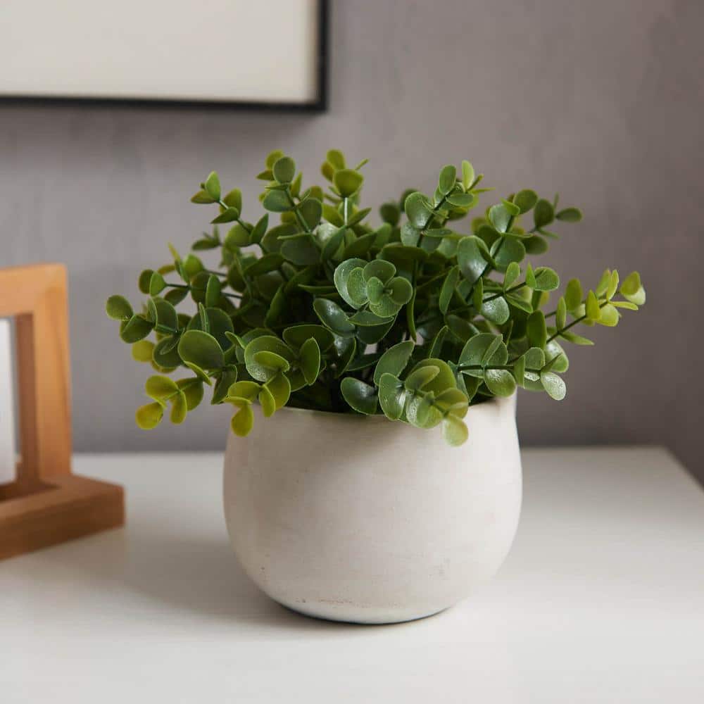Adorable 7.5 in. Green Artificial Eucalyptus In Cement Pot