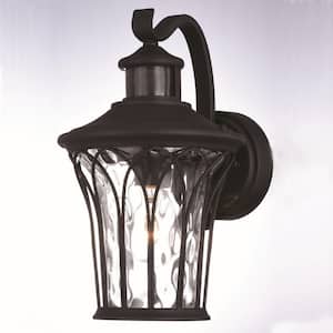 Abigail 7.5 in. W 1-Light Black Motion Sensor Dusk to Dawn Outdoor Wall Lantern with Clear Glass