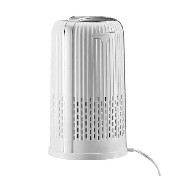 HoMedics TotalClean 4-in-1 Small Room Hepa Air Purifier AP-T10-WT - The  Home Depot