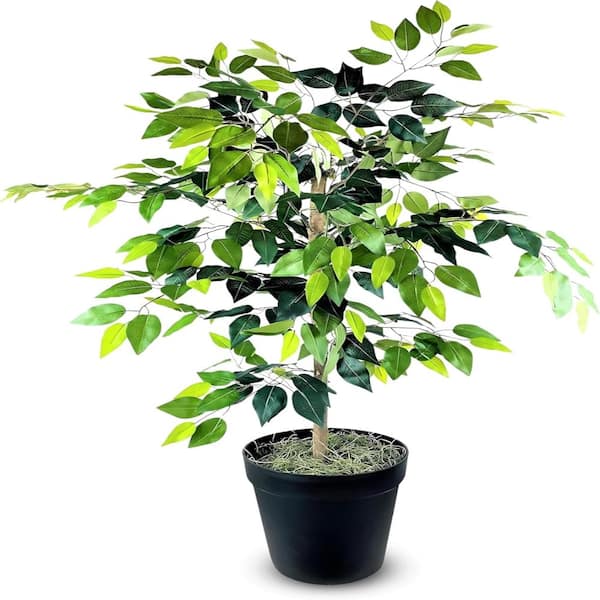 4 ft. Artificial Ficus Tree  in Black Pot Indoor and Outdoor