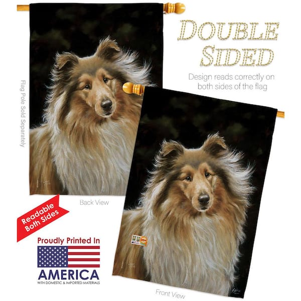 Double Trouble Border Collie Print Customised Dog Print 