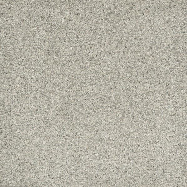 Home Decorators Collection 8 in. x  8 in. Texture Carpet Sample - Bradmore I -Color Mellow