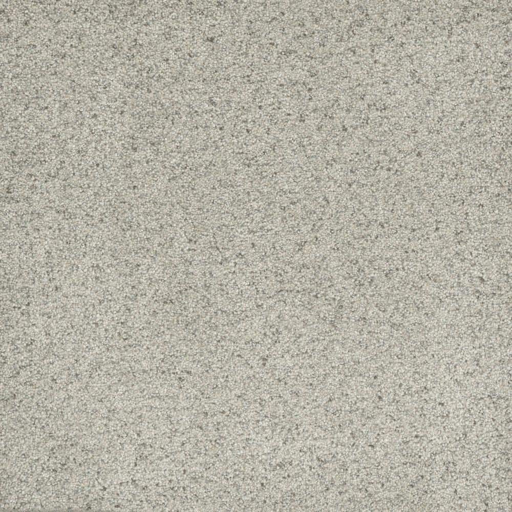 8 in. x  8 in. Texture Carpet Sample - Bradmore II -Color Mellow price history on PriceWatchPro