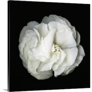 "White Flower Blossom- Original Black And White Photograph" by Susanna Shaposhnikova Canvas Wall Art