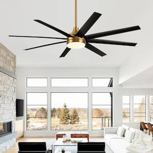 Archer 65 in. Integrated LED Indoor Black-Blades Gold Ceiling Fan with Light and Remote Control Included