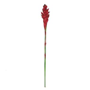 31 in. Real Touch Red Artificial Ginger Flower Stem Tropical Spray (Set of 3)