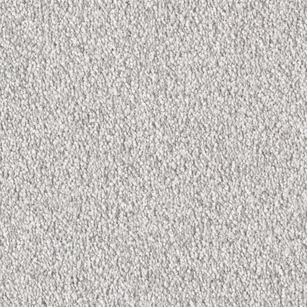 8 in. x 8 in. Texture Carpet Sample - Silver Mane II -Color Dover Cliffs price history on PriceWatchPro
