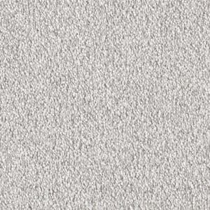8 in. x 8 in. Texture Carpet Sample - Silver Mane II -Color Dover Cliffs