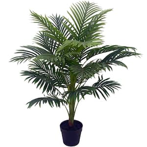 38-inch Palm Tree in Pot