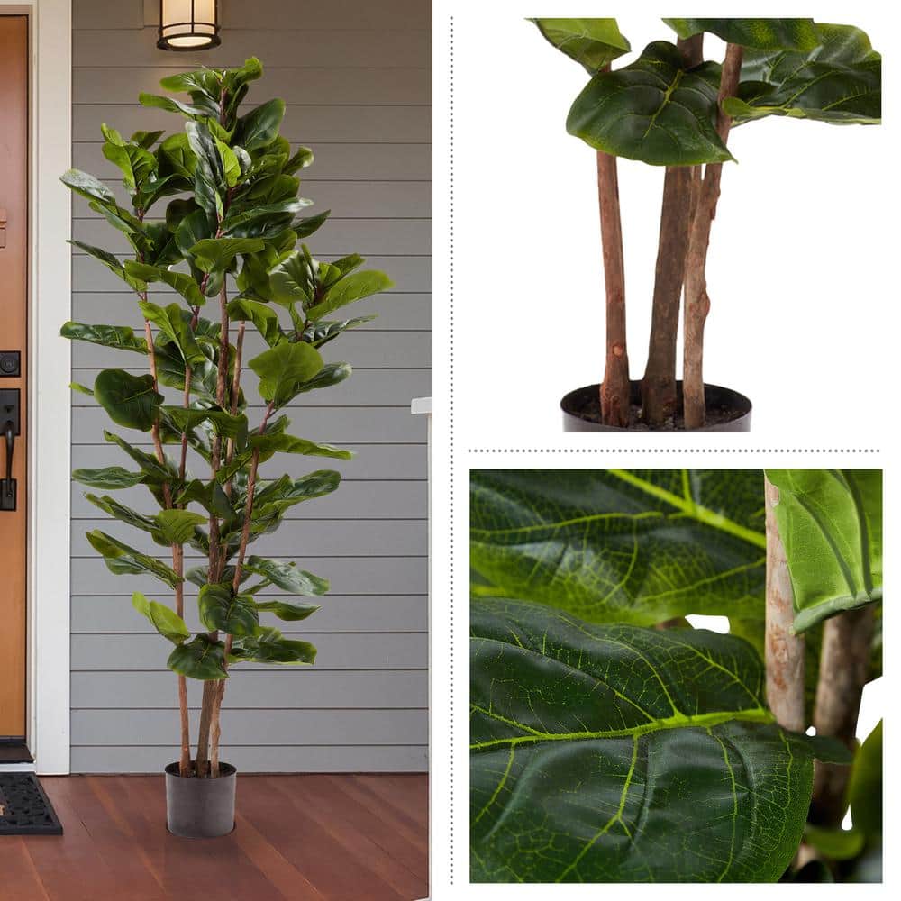 Lush Green 72" Fiddle Leaf Fig Topiary with Lights in Black Plastic Pot