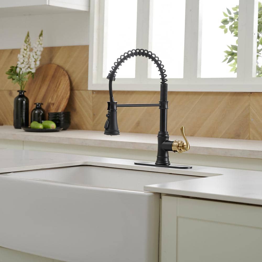 Matte Black and Gold High-Arc Kitchen Faucet with Pull-Out Spray