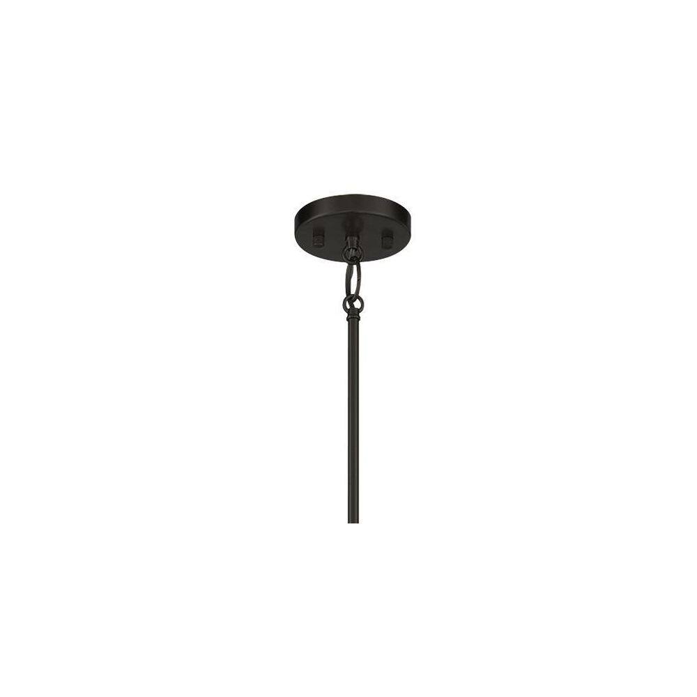 Elegant Coal and Soft Brass 4-Light Pendant for Indoor/Outdoor