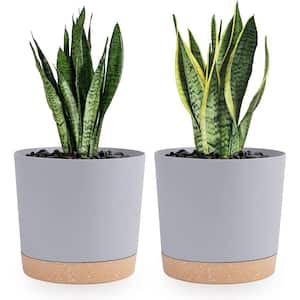 8 in. Light Grey Plastic Planter with Drain Holes and Removable Base for Modern Decor in Outdoor Gardens (2-Pack)