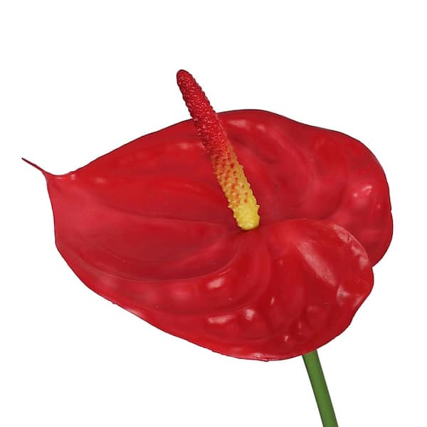 26 in. Real Touch Red Artificial Anthurium Flower Stem Tropical Spray (Set of 4)