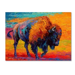 35 in. x 47 in. "Spirit Of The Prairie" by Marion Rose Printed Canvas Wall Art