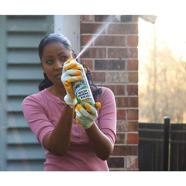 Wasp spray home deals depot