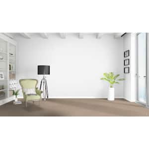 Fast Performer - Sonoma - Beige 40 oz. SD Polyester Texture Installed Carpet