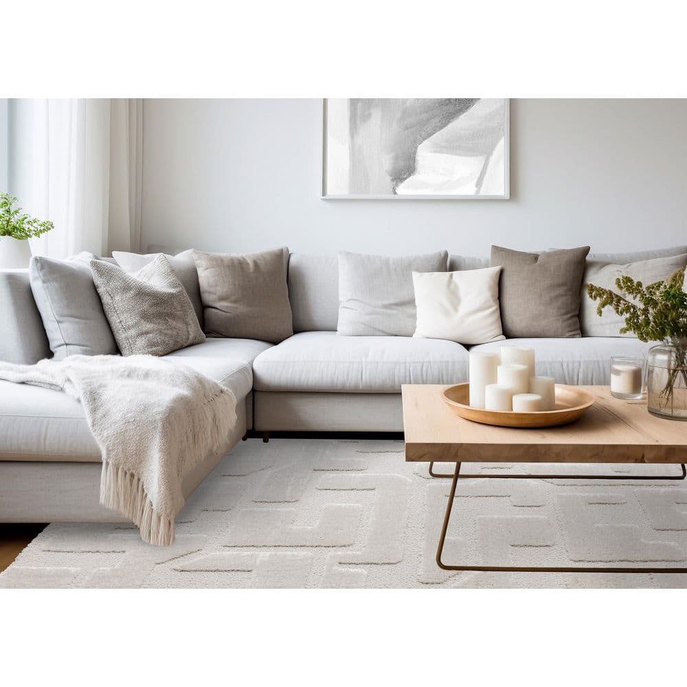 Intrigue Collections 8 ft. x 11 ft. White Geometric, Tonal/Solid Indoor Area Rug price history on PriceWatchPro