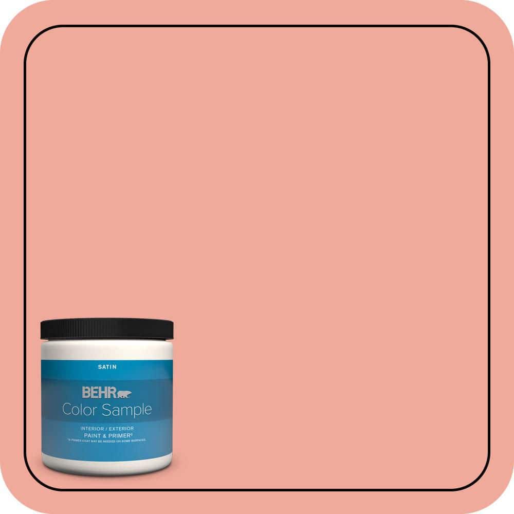 8 oz. #200D-4 Powdered Petals Satin Enamel Interior/Exterior Paint & Primer Color Sample price history on PriceWatchPro