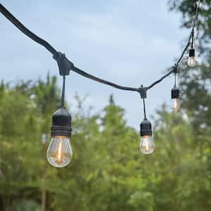 Outdoor/Indoor 24 ft. 12 Socket Plug-in LED S14 Edison Bulb Black String Light
