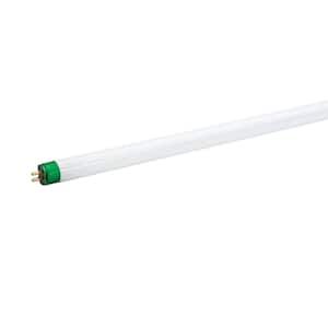 54-Watt 46 in. High Output Linear T5 Fluorescent Tube Light Bulb, Cool White (4100K) (1-Bulb)