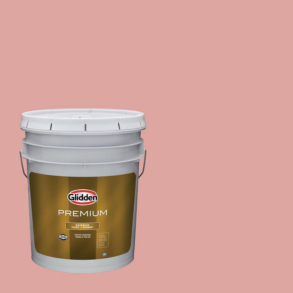 5 gal. PPG1057-4 Coral Cove Flat Exterior Latex Paint product image for price tracking