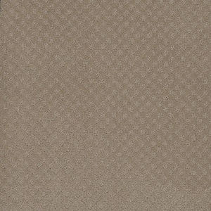 Camelia Lane - Keys - Beige 28 oz. SD Polyester Loop Installed Carpet