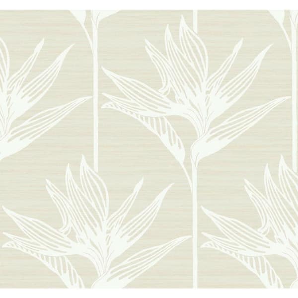 York Wallcoverings 60.75 sq. ft. Bird Of Paradise Wallpaper