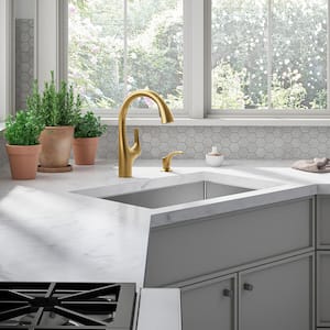 Avi Single-Handle Pull Out Sprayer Kitchen Faucet in Vibrant Brushed Moderne Brass
