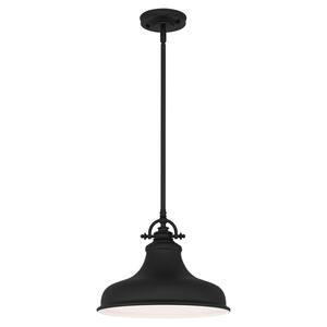 Holly 1-Light Earth Black Pendant with Metal Shade