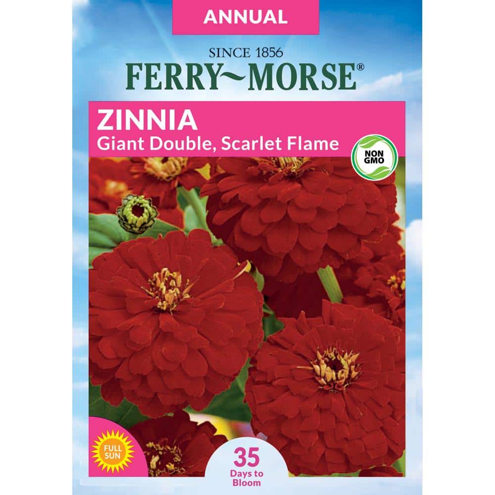 Ferry-Morse Zinnia Giant Double Flowered Scarlet Flame Flower