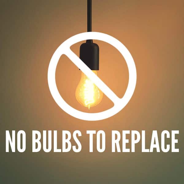 Ellis Black Outdoor Line Voltage Hardwired Porch Light Wall Sconce with Integrated LED