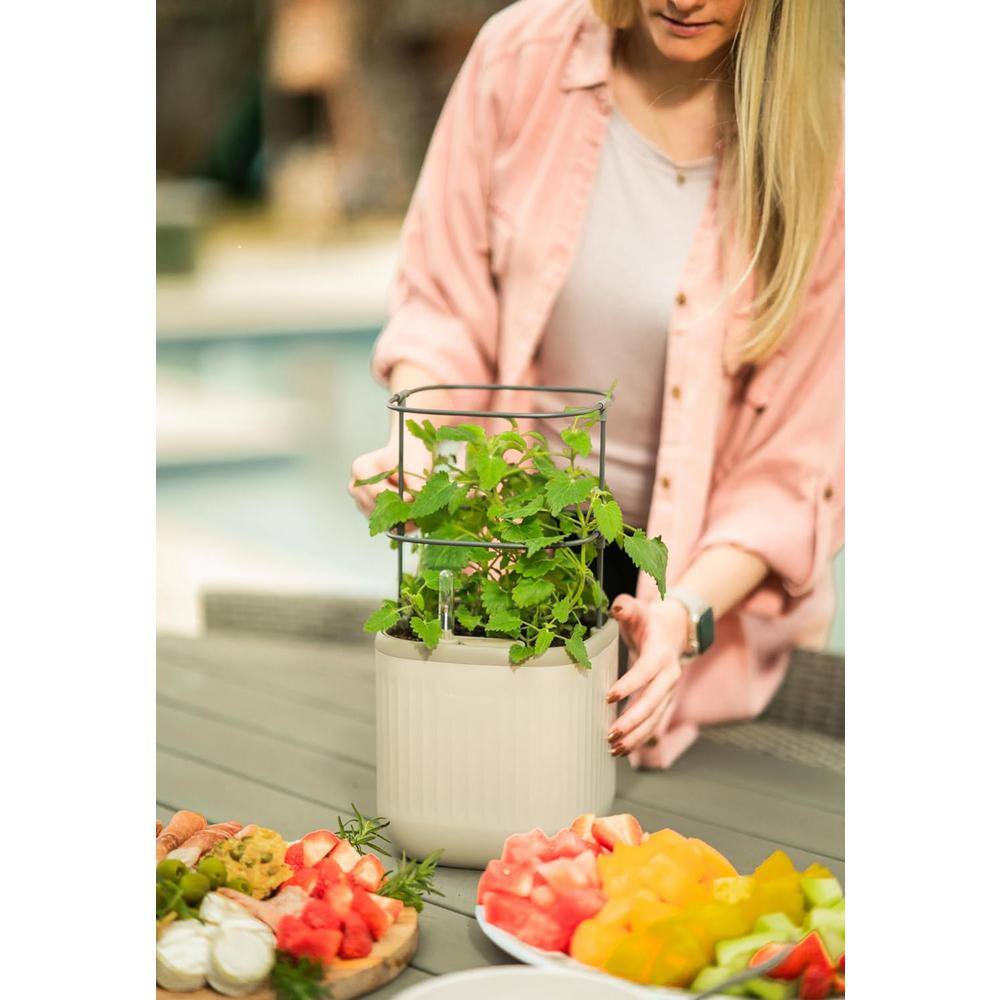 Cream White Self-Watering Mini Planter Pots with Trellis, 2 Pack