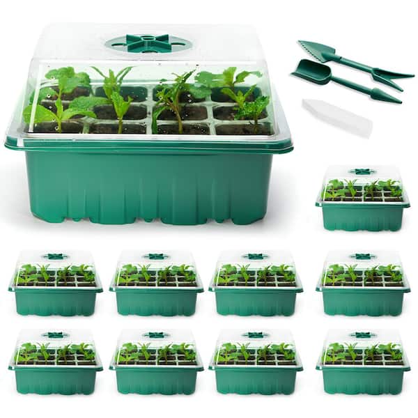 Wellco 12-Cell Green Seed Starter Tray Kits, Plant Germination Trays with Round Clasp Cover, Seed Tray and Bottom Tray (2-Pack)