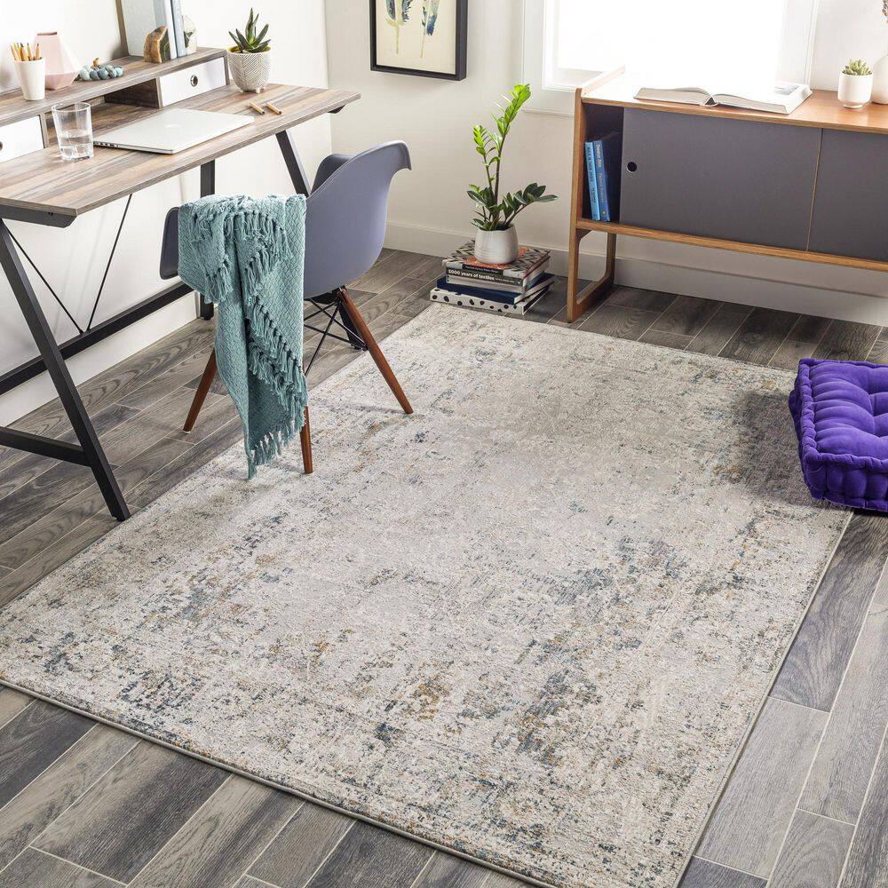Carmel Light Gray Traditional Distressed  8 ft. x 12 ft.  Area Rug price history on PriceWatchPro