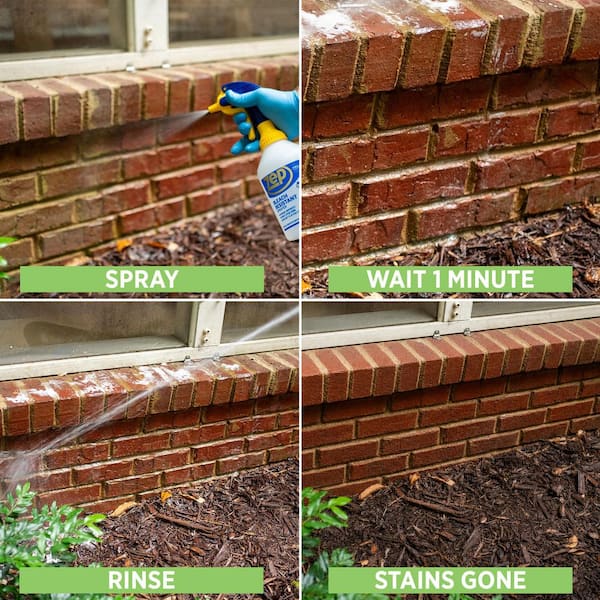 ZEP - 1 Gal. Mold Stain and Mildew Stain Remover