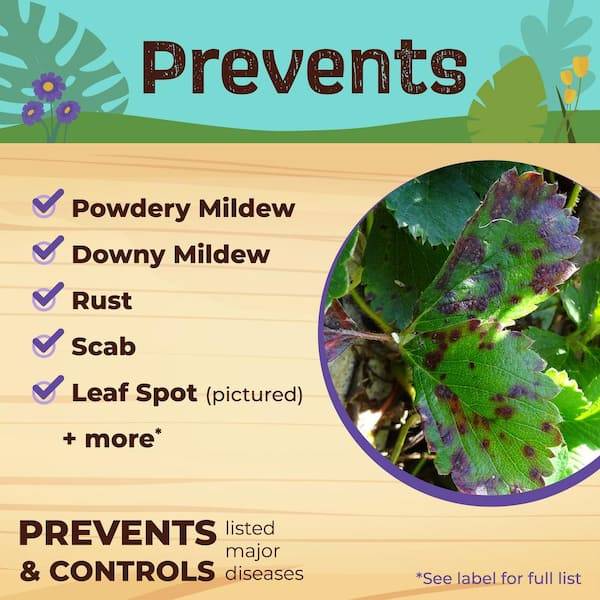 Bonide - Captain Jack's Neem Oil, 32 oz Ready-to-Use Spray, Multi-Purpose Fungicide, Insecticide and Miticide