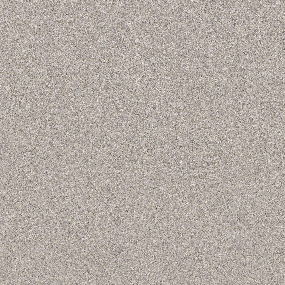8 in. x 8 in. Texture Carpet Sample - Vignette Velvet II - Color Vip Lounge price history on PriceWatchPro