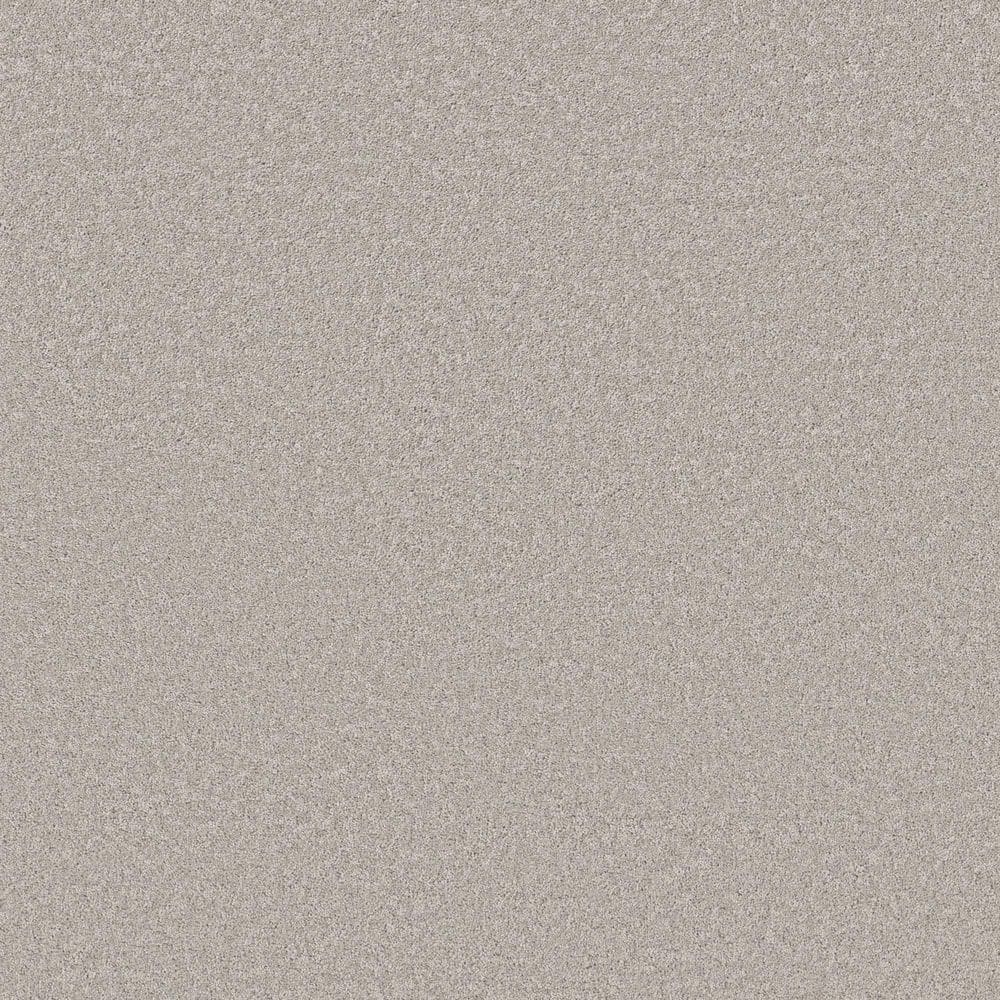 8 in. x 8 in. Texture Carpet Sample - Vignette Velvet I - Color Vip Lounge price history on PriceWatchPro